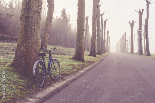 Bike in a street surrounded by trees on a cold foggy morning