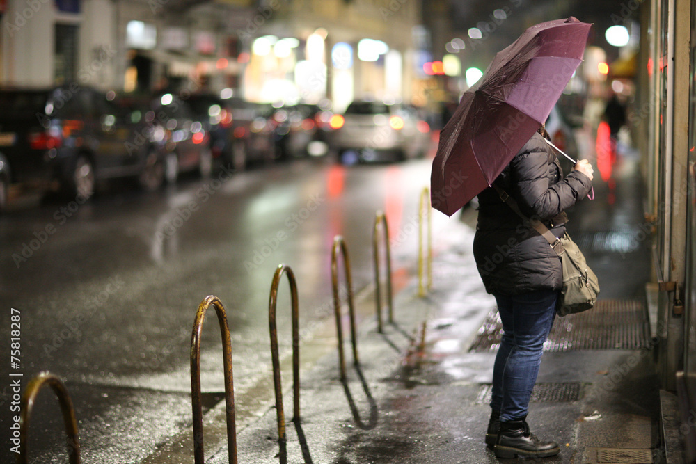 Obraz premium Woman unnder the umbrella standing on the sidewalk