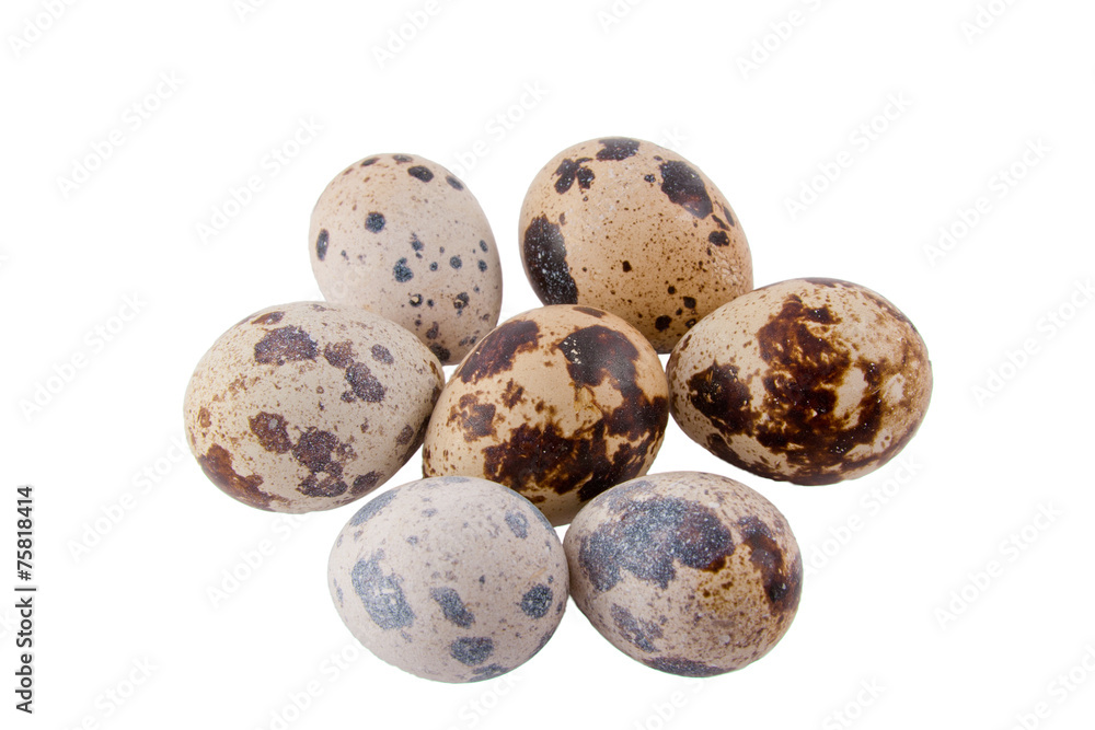 quail eggs