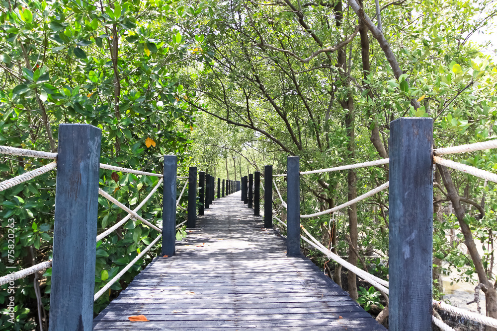 Wooden bridge lead to mangrove forest