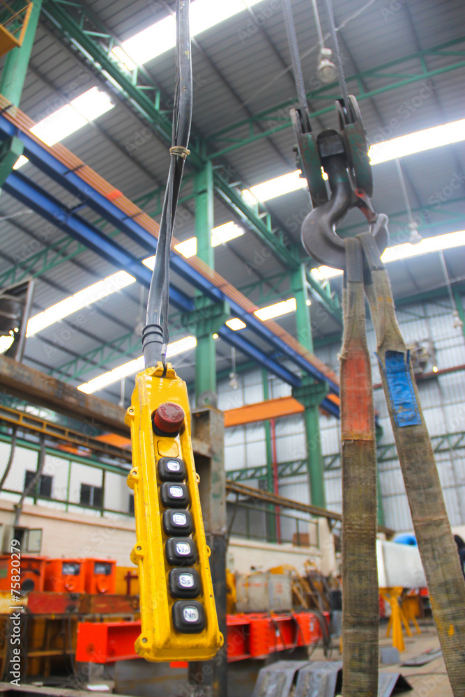 remote and old hoist remote and old hoist
