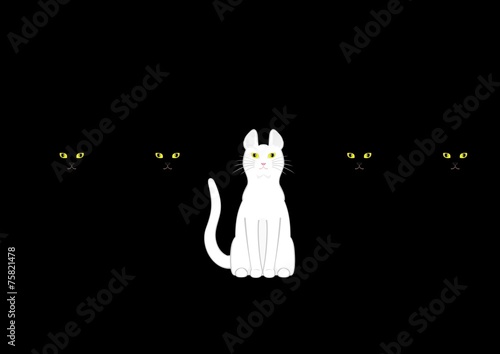 黒猫の中の白猫