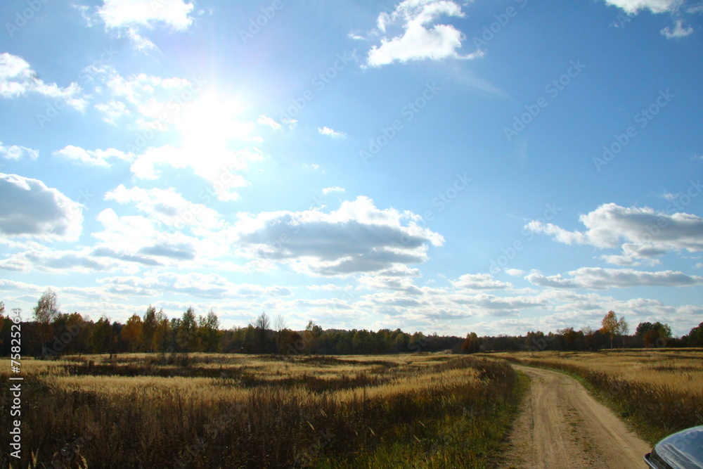 Obraz premium Дорога