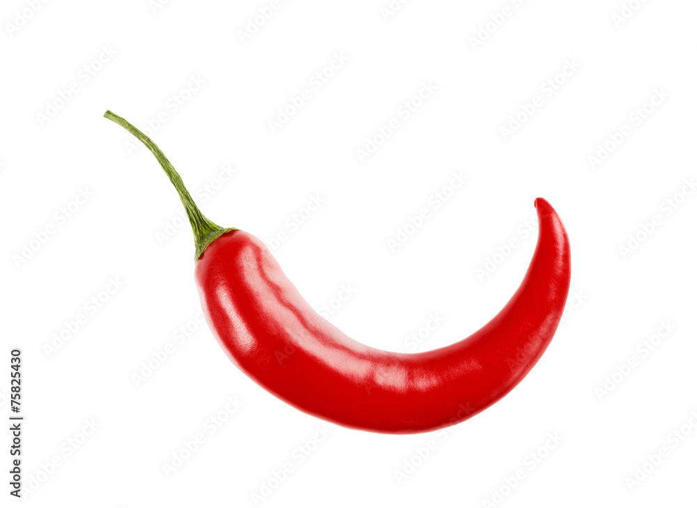 chili pepper isolated on white background