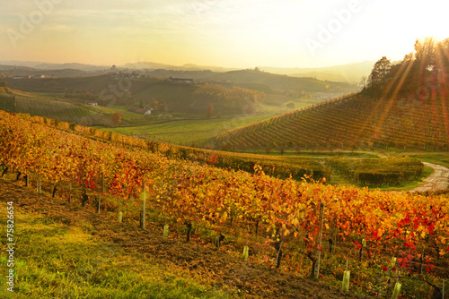 Langhe photo