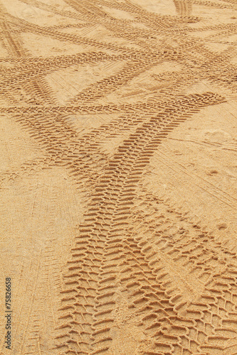 Tire Tracks in the Sand