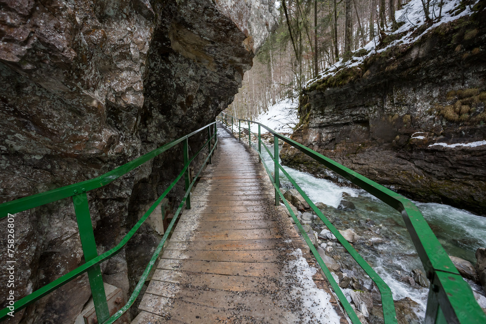 Fototapeta premium breitachklamm in germany