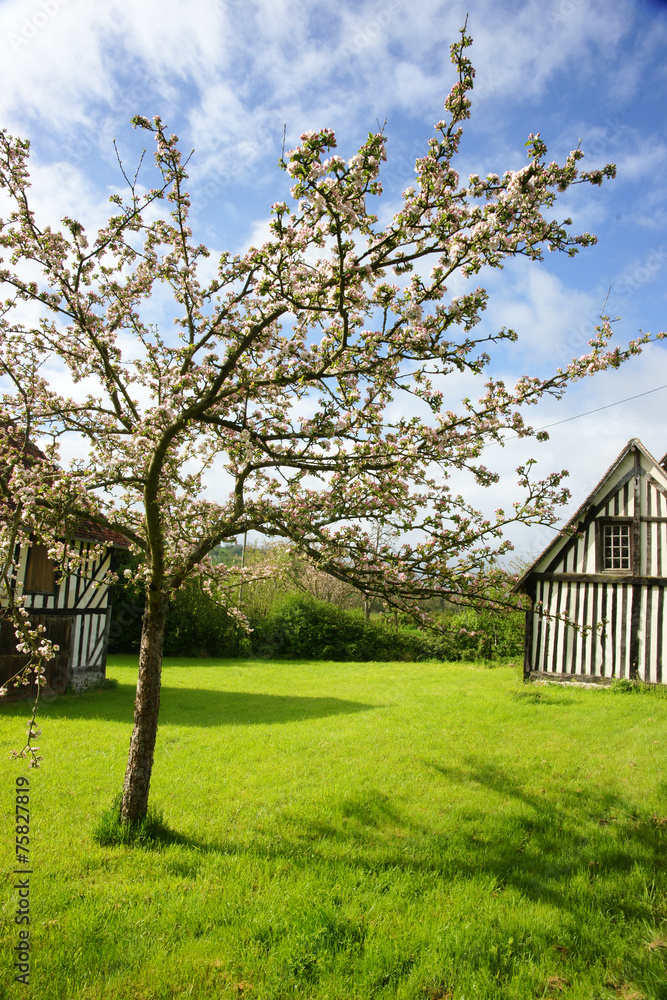 Obraz premium Paysage campagne 103