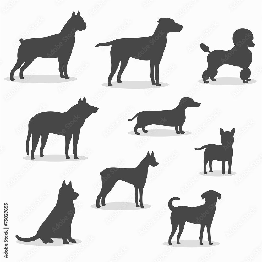 Dogs icons set of different breeds