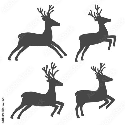 Christmas reindeer, set on white background