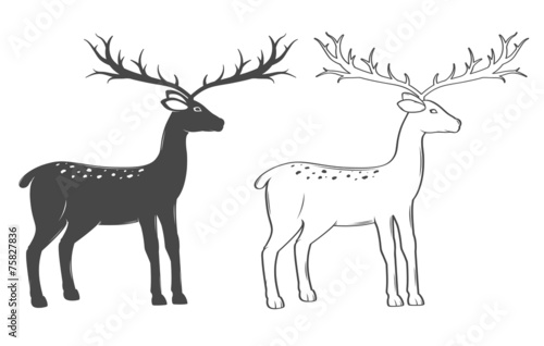 Christmas reindeer  set on white background