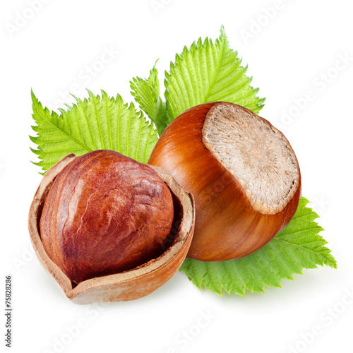 Hazelnuts isolated on a white background.