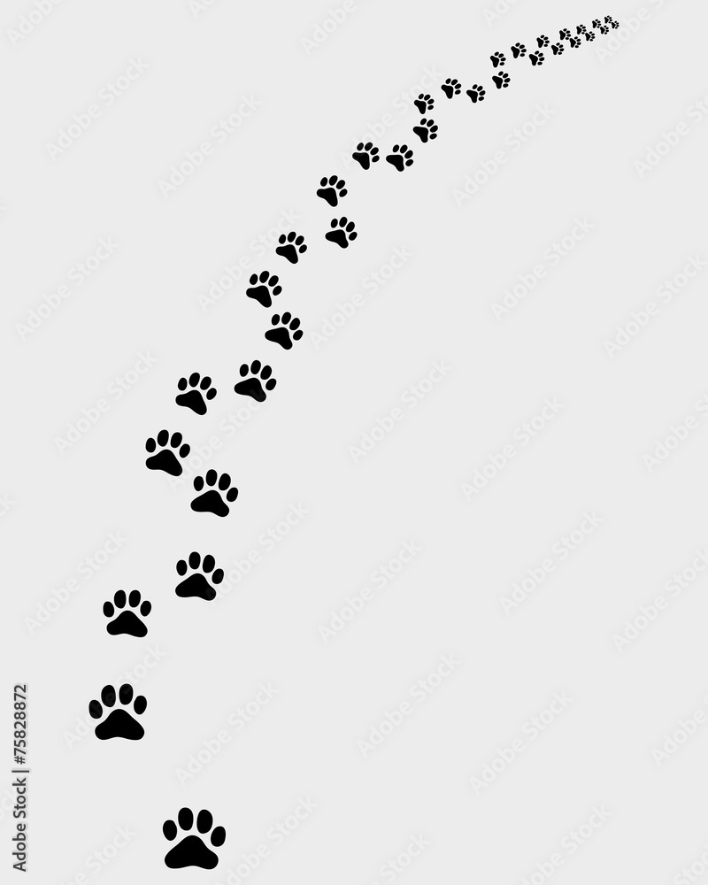 Black trail of cat, turn right, vector illustration Black trail of cat, turn right, vector illustration