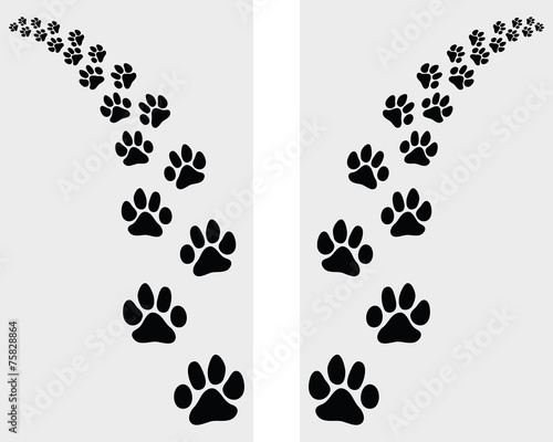 Trail left and right of footstep of cat, vector