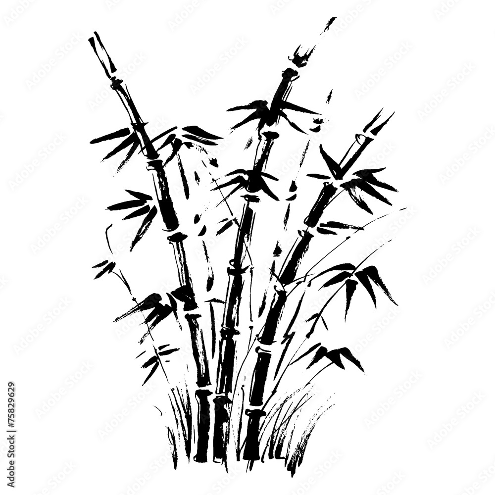 Fototapeta premium Bamboo branches isolated on the white background. Vector