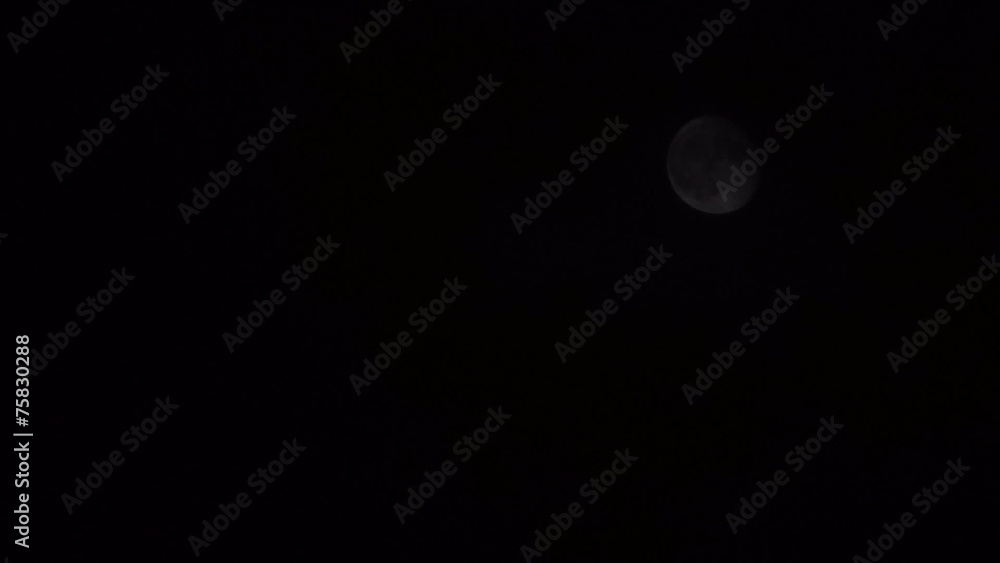 Moon Moon