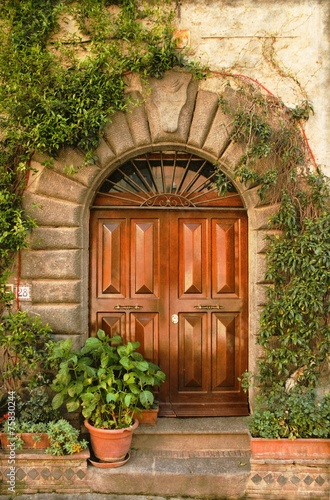 Renaissance front door - Vintage