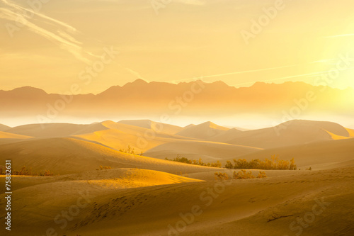 Desert Sand Dunes