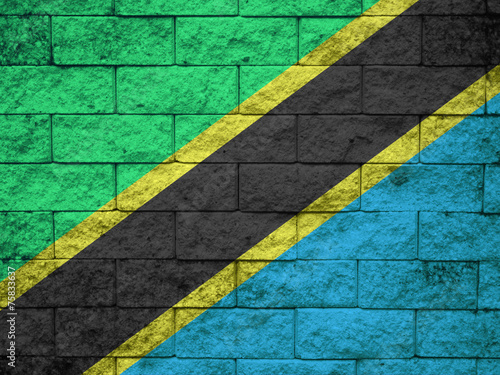Tanzania Flag painted on grunge wall