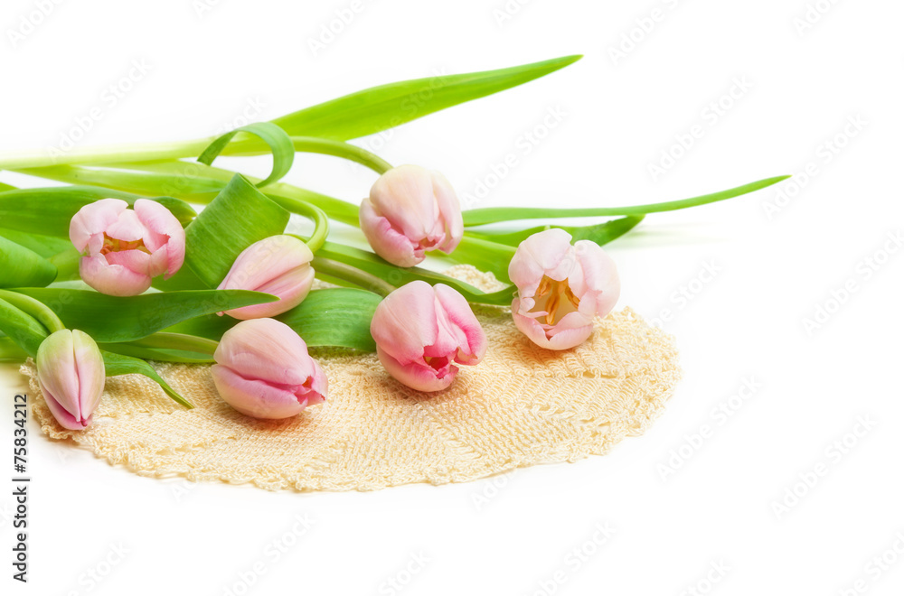 Rosa Tulpen, Deckchen