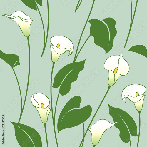 Fototapeta Naklejka Na Ścianę i Meble -  Calla lily pattern