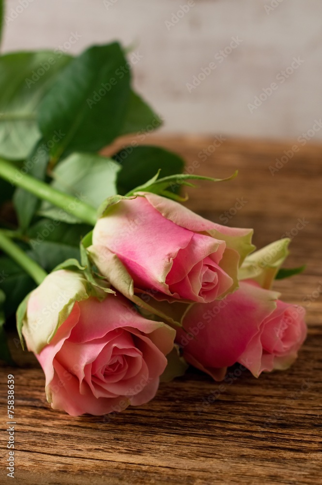 Three beautiful pink roses on wooden board Three beautiful pink roses on wooden board