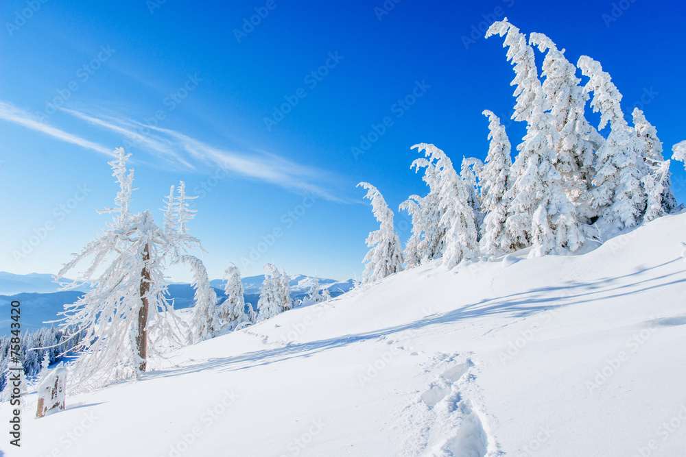 Fototapeta premium magical winter snow covered tree