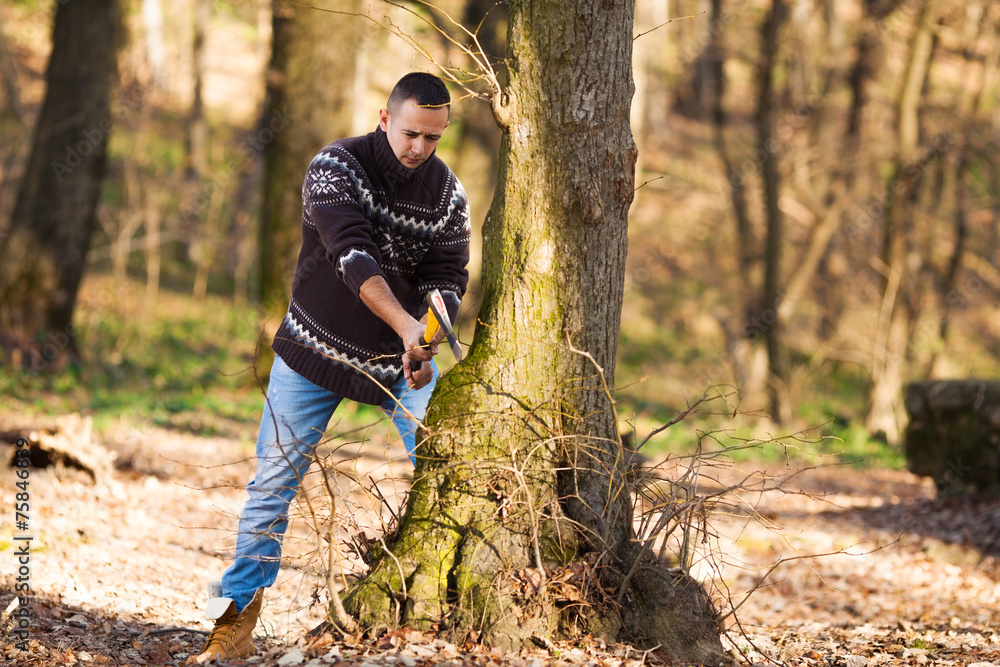 Lumberjack cutting the tree with axe in the forest