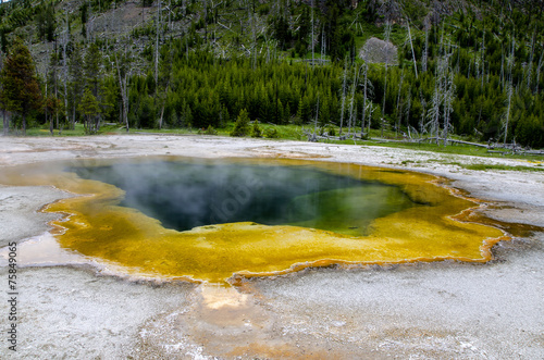 yellow pool in Yellowstone