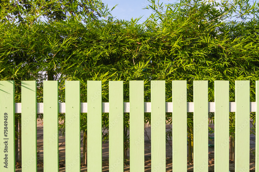 Green fence and bamboo background Green fence and bamboo background