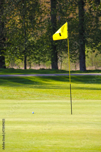 Flag on the golf field