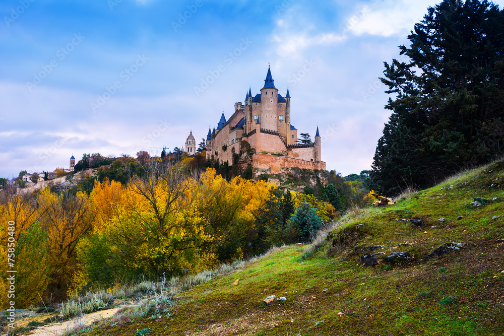 Castle of Segovia  in november day