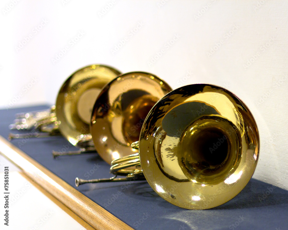 French horn in the concert hall. Wind instrument. French horn. French horn in the concert hall. Wind instrument. French horn.