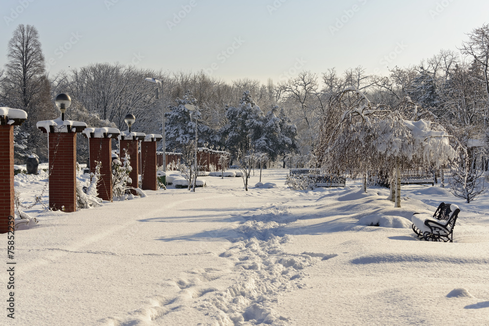 Snowy path in Herastrau Park Bucharest