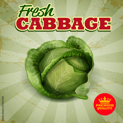 CABBAGE
