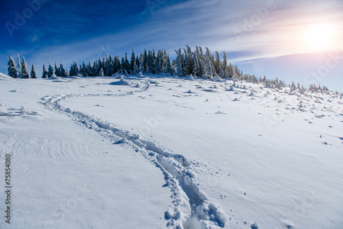deep footprints in the snow