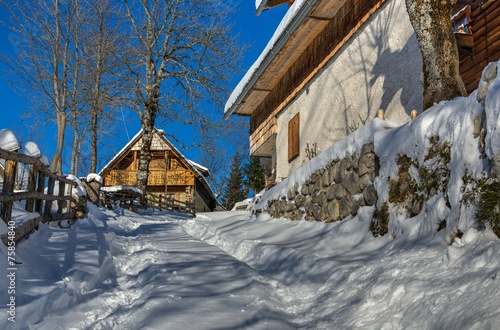 Village in the Alpine meadow in Winter
