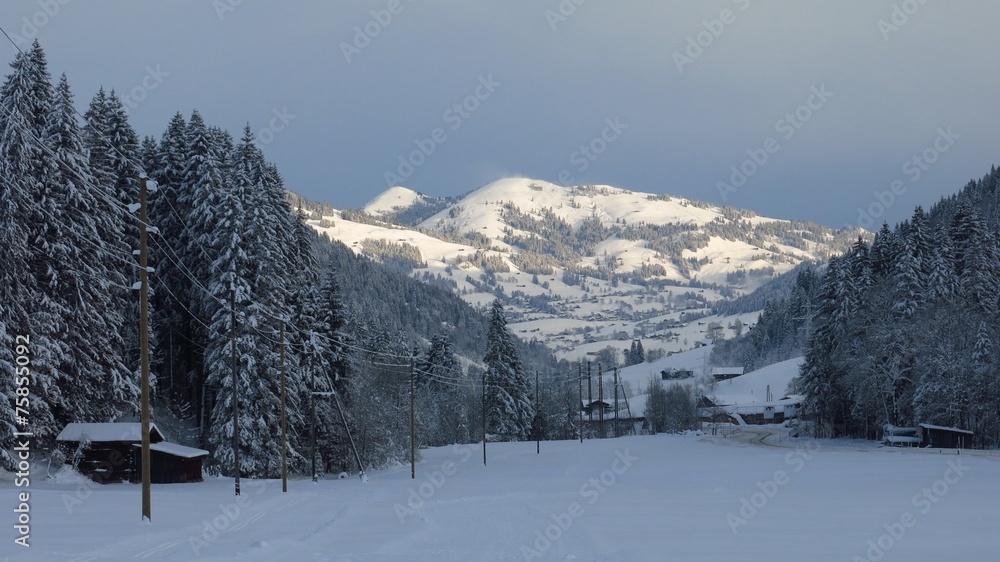 Early morning on a winter day, scene near Gstaad