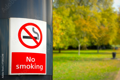 Fototapeta Naklejka Na Ścianę i Meble -  no smoking board & sign in the park