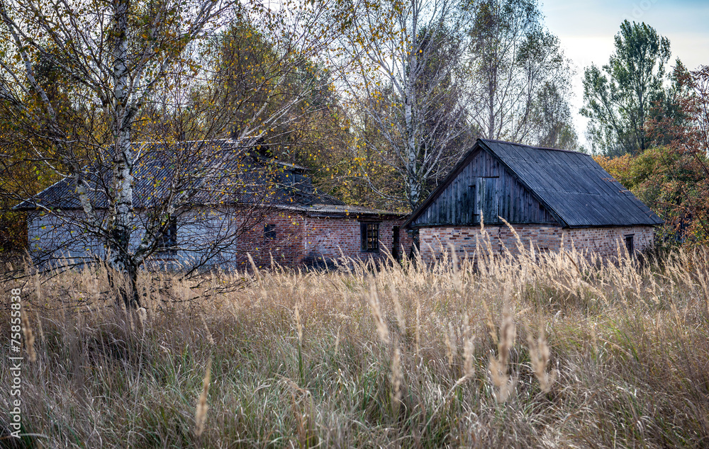abandoned Stechanka village in Chernobyl Zone, Ukraine