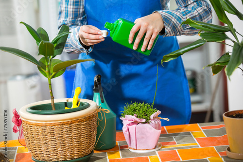  Housewife with flower in pot, selective focus