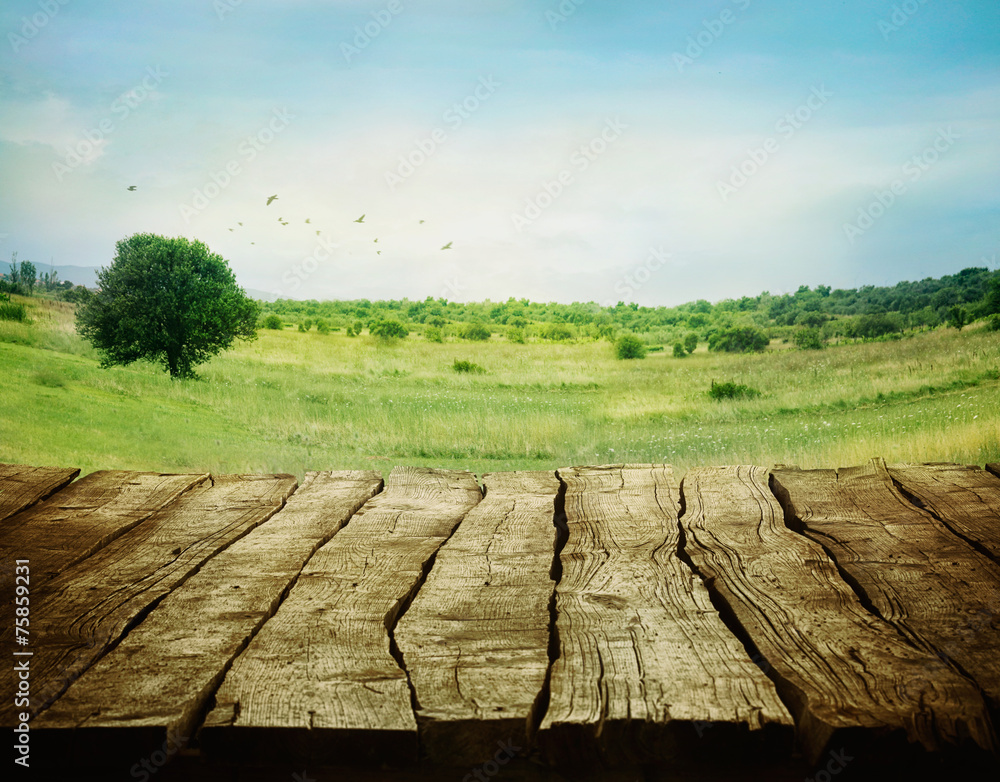 Obraz premium Spring background