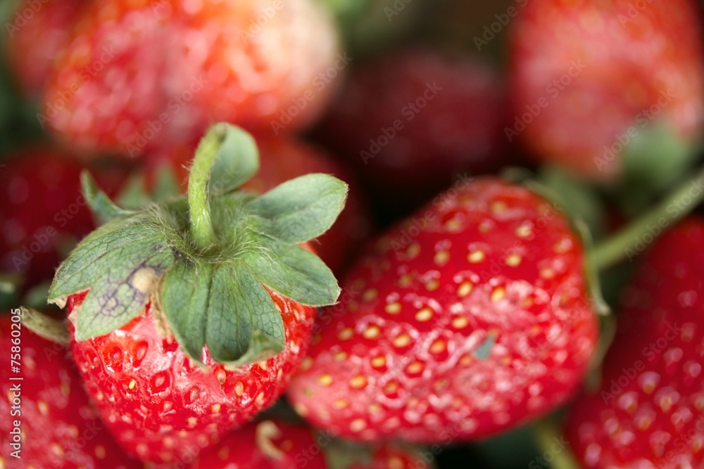 a lot of fresh strawberry a lot of fresh strawberry