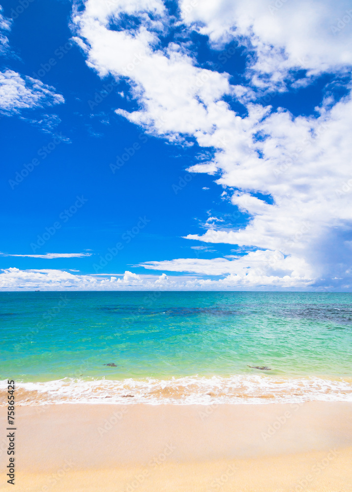 Fototapeta premium Windy Holiday Heavenly Blue