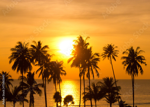 Palm Paradise Fiery Backdrop