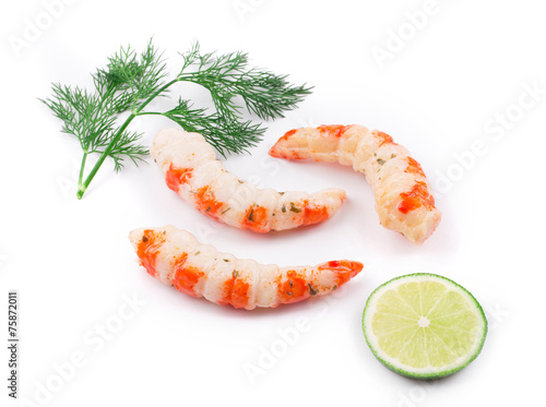 Boiled shrimps with dill on white.