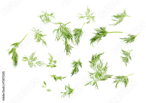 Sprigs of dill isolated on white