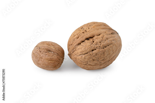 Two walnuts