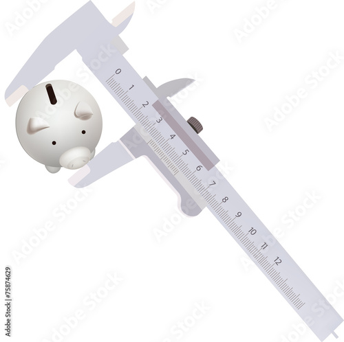 pinza precisione calibri