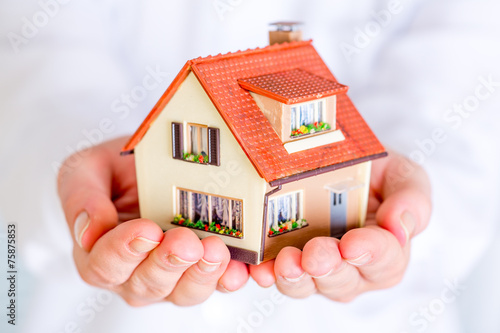 House in human hands